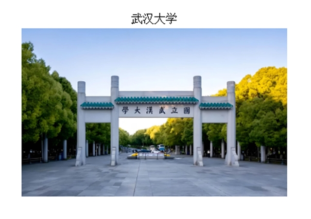 武汉大学